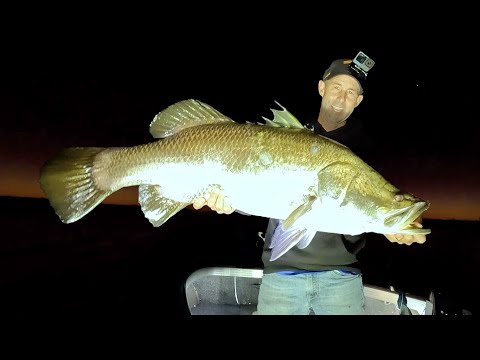 Видео: Охота на огромного баррамунди ночью