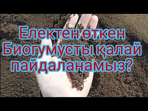 Видео: Електен өткен Биогумусты қалай пайдаланамыз#биогумус#шылаушын