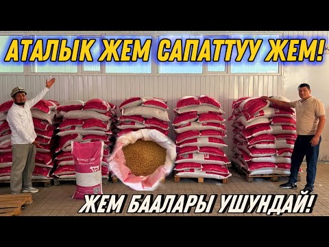 Видео: АТАЛЫК ЖЕМИ БАЙЫТЫЛГАН ЖЕМ  САПАТТУУ ЖЕМДЕР 💪🏻#байтв 