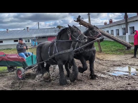 Видео: НА ТЕРНОПІЛЬЩИНІ ЕМОЦІЇ ЗАШКАЛЮЮТЬ/ВІТАЛІЙ ТА ПЕТРО ЯК ЗАВЖДИ МОЛОДЦІ👍