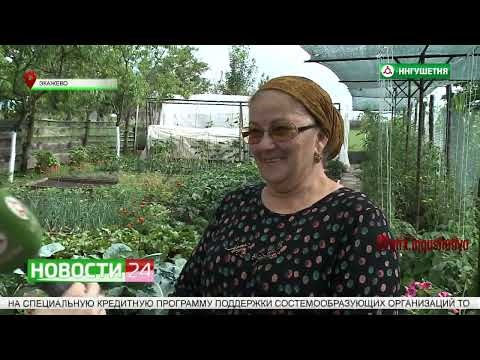 Видео: Марем Цечоева - участница конкурса на лучшее личное подсобное хозяйство