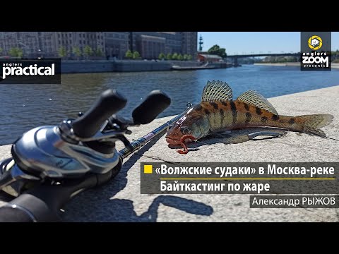 Видео: «Волжские судаки» в Москва-реке. Байткастинг по жаре. Александр Рыжов. Anglers Practical