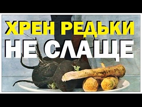 Видео: Галилео. Хрен редьки не слаще