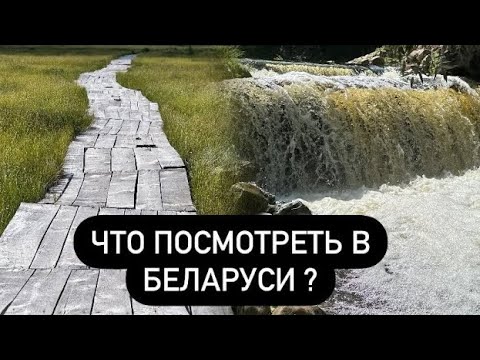 Видео: Топ 5 мест в Беларуси. Березинский заповедник, Миорский водопад, экотропа Ельня, зоопарк