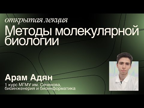 Видео: Методы молекулярной биологии