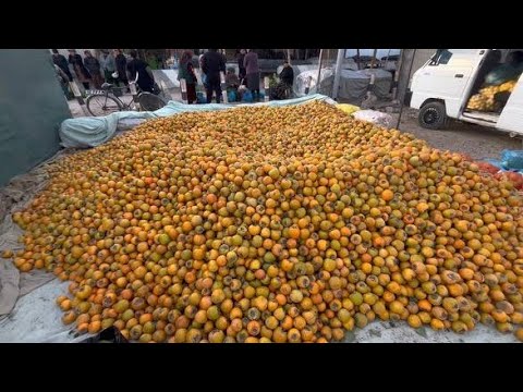 Видео: 21 ОКТЯБРЯ ТУРТКУЛ ДЕХКОН БОЗОР НАРХЛАРИ ВА КУРС ДОЛЛАР 