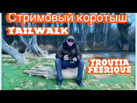 Видео: Tailwalk Troutia Feerique S50L max 7гр. Обзор спиннинга. Первые впечатления!