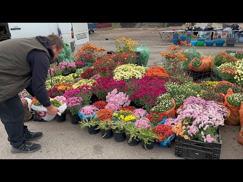 Видео: ДЕНЬ ТОРГОВЛИ. ЖИЗНЬ ПРОСТЫХ ЛЮДЕЙ.