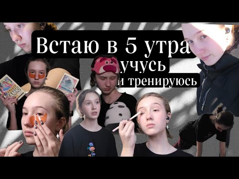 Видео: Встаю в 5 утра, учусь и тренируюсь. Новая жизнь. И пересыщение мотивацией.