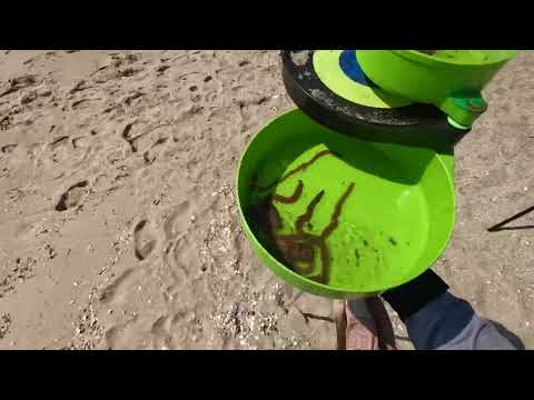 Видео: Рыбалка на пеленгаса в Бердянске 07.08.2023