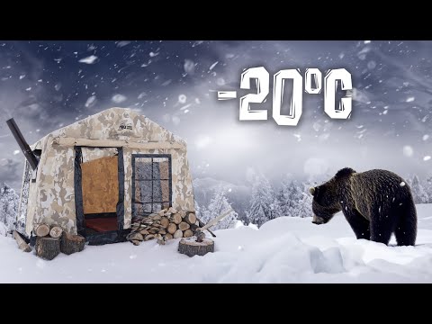 Видео: Палаточный лагерь с плитой в снегу | Мы нашли голову медведя, мы изобразили рысь!