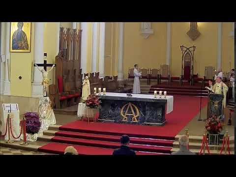Видео: 01.11.2025 Св. Месса в 18:00
