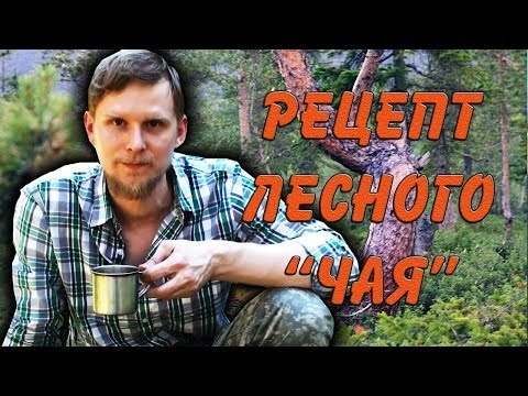 Видео: РЕЦЕПТ лесного ЧАЯ "Тайга".