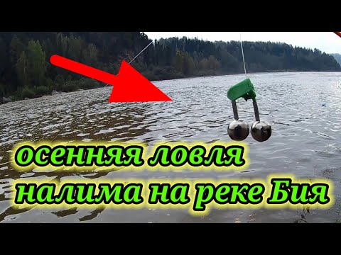 Видео: Осенняя Рыбалка 👆 на Налима на реке Бия 👆