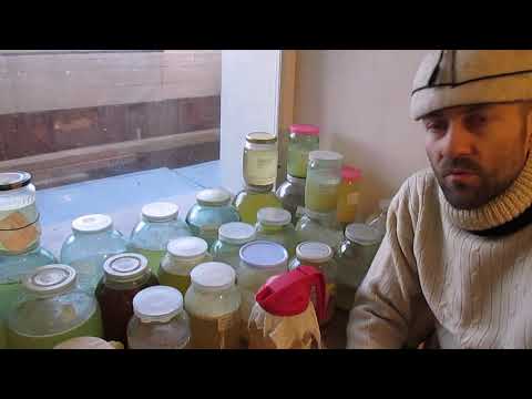 Видео: 199 Дарю ферменты по технологии Б.В.  Болотова