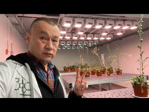 Видео: Ответы и вопросы