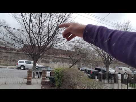 Видео: Часть-16 Сколько стоит дом в сша.НЬЮ ЙОРК Америка