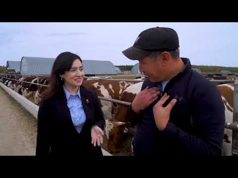 Видео: Бейбит Ерубаев  KazBeef