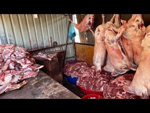 Видео: Люди едут со всей страны , чтобы его попробовать! Самаркандский Нохат Шурак! Пробуем Ситора Ош!