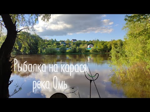 Видео: Рыбалка на Омке вечером. Ловля карася на удочку и фидер. Омск Июнь 2024