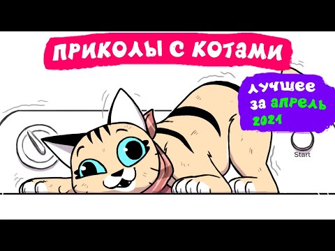 Видео: Приколы с котами. ЛУЧШЕЕ ЗА АПРЕЛЬ 2021 | Мемозг