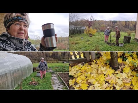 Видео: ПОСАДИЛИ ВИШНИ И КОСТОЧКИ ПЕРСИКА, ПОТЫКАЛА КАПУСТУ.