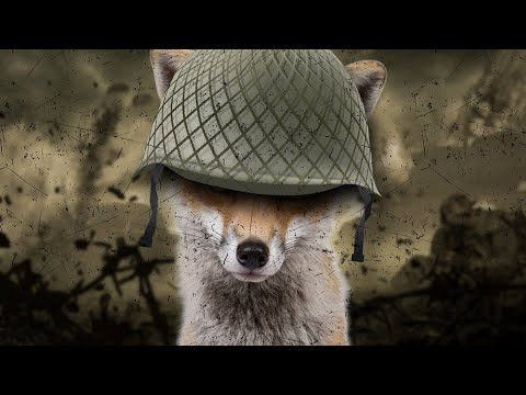 Видео: Что такое FOXHOLE? Обзор