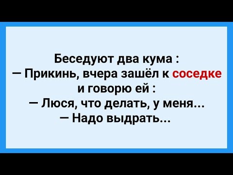 Видео: Мужик Зашел к Соседке! Подборка Веселых Жизненных Анекдотов! Юмор!.