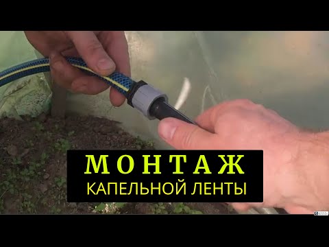 Видео: Монтаж капельного полива в небольшом парнике. Соединение капельной ленты с шлангом переходниками.