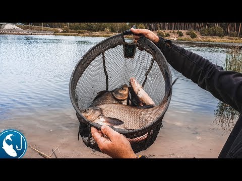 Видео: Как поймать леща в октябре на самодельную прикормку. Вкусный обед!