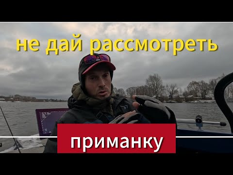 Видео: Не дай рассмотреть приманку.