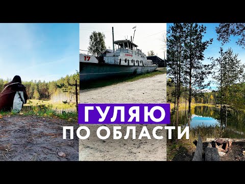 Видео: Как я поехала в Медведский бор и кого встретила? VLOG