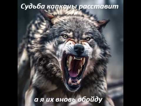 Видео: Судьба капканы