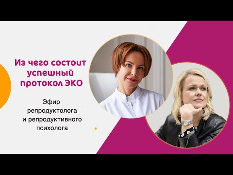 Видео: Из чего состоит успешный протокол ЭКО