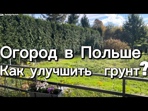 Видео: #влог ✅❤️Как улучшить почву и сделать её плодородной  #польша #nature #garden #грядки 