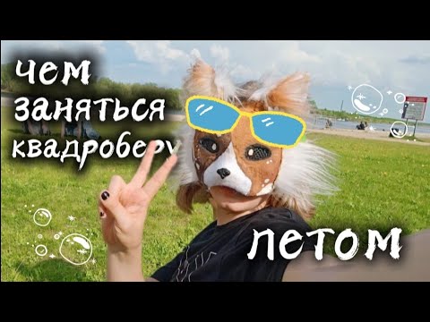 Видео: ЧЕМ ЗАНЯТЬСЯ ТЕРИАНУ ЛЕТОМ // ИДЕИ ДЛЯ ВИДЕО ╶⃝⃤••Риша•• #quadropist #therian #риша #квд