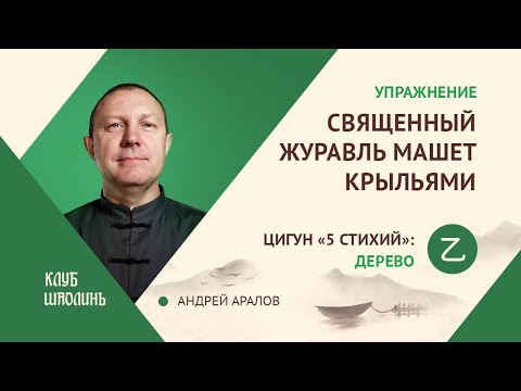 Видео: Комплекс цигун 5ти стихий. Упражнение 2. Священный журавль машет  крыльями.  А.В.Аралов.
