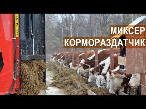 Видео: Миксер-кормораздатчик. Готовим и раздаём корм для КРС Семейная ферма КФХ Герефорд