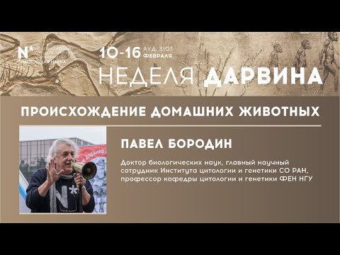 Видео: Происхождение домашних животных. Лекци доктора биологических наук Павла Михайловича Бородина