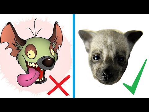 Видео: Жалған мәліметтер #6