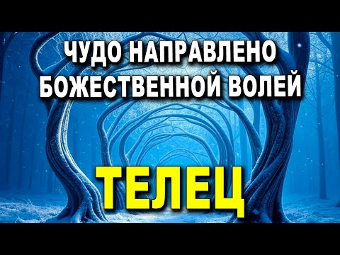 Видео: ТЕЛЕЦ ♉ СРОЧНО! ЗАВТРА ЖДИ ЭТОГО! ЧУДО НАПРАВЛЕНО БОЖЕСТВЕННОЙ ВОЛЕЙ 😇🔥