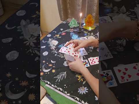 Видео: Крестовый король, его мысли, чувства, действия по отношению к червовой даме ?♤♡◇♧