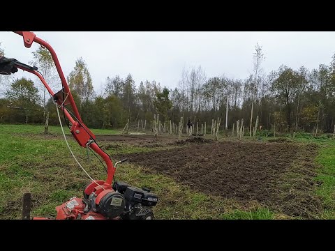 Видео: Начинаю осваивать новую землю. Мотоблок Агат