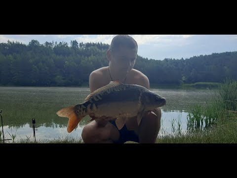 Видео: ЛОВЛЯ КОРОПА В ЖАРУ,ВОДА ЯК ЧАЙ,АЛЕ МИ ЙОГО ЗЛОВИЛИ