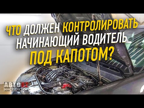 Видео: Что должен контролировать начинающий водитель под капотом?