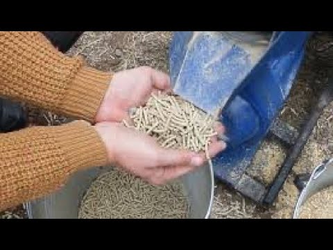 Видео: ⚡️Ціни на Гранулятори❗️4 кВт 220 В ОГП-150 ТехноМашСтрой Результати вражають чи розчаровують?