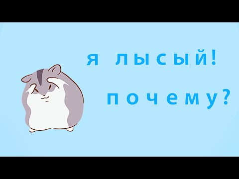 Видео: Почему у хомяка брюшко синего цвета? ЭНИМАЛтерапия.