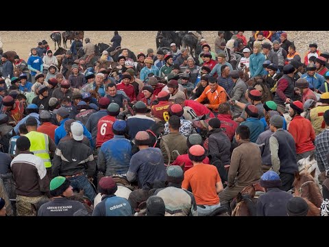 Видео: 11 ноября 2025 г.