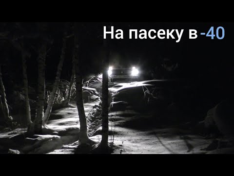 Видео: Пасека на связи 2021
