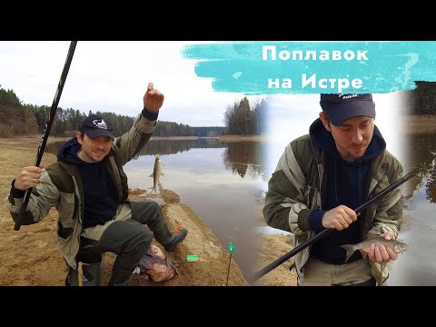 Видео: Плотва на поплавок| Ловля на маховую удочку ранней весной (Лопотово, Исаково, река Истра)